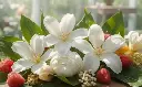 Hedione.webp